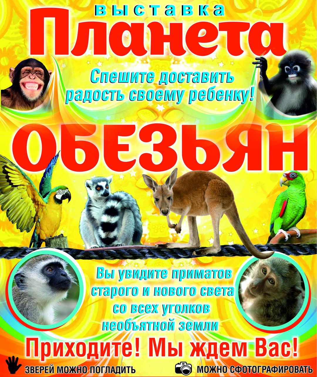 Выставка обезьян